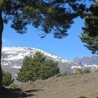 tourhub | UTracks | Granada and the Alpujarras 