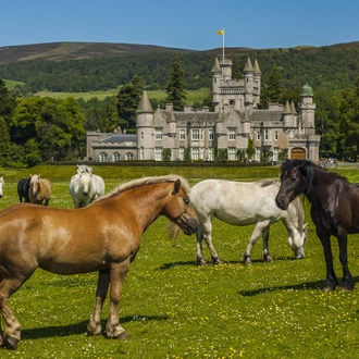 tourhub | Brightwater Holidays | Scotland: Historic Houses of Aberdeenshire 4647 