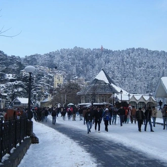 tourhub | Holiday Tours and Travels | 7 Days Tour of Shimla,Manali,Chandigarh from Delhi includes,Hotel & Vehicle 