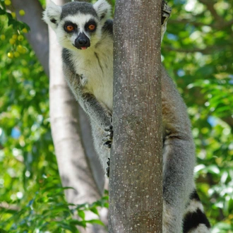 tourhub | Exodus Adventure Travels | Trekking in Madagascar 