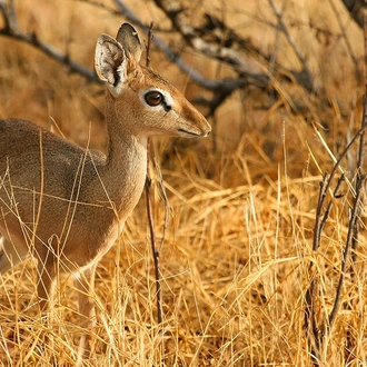 tourhub | Indus Travels | Amazing East Africa 