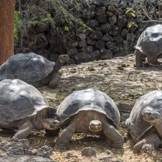 tourhub | Encounters Travel | Best of the Galapagos 