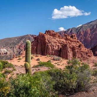 tourhub | Signature DMC | 4-Days Discovering Salta Nature & Adventure with optional Airfare 