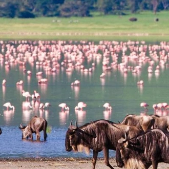 tourhub | On The Go Tours | Masai Mara & Tanzania Explorer (Accommodated) - 13 days 