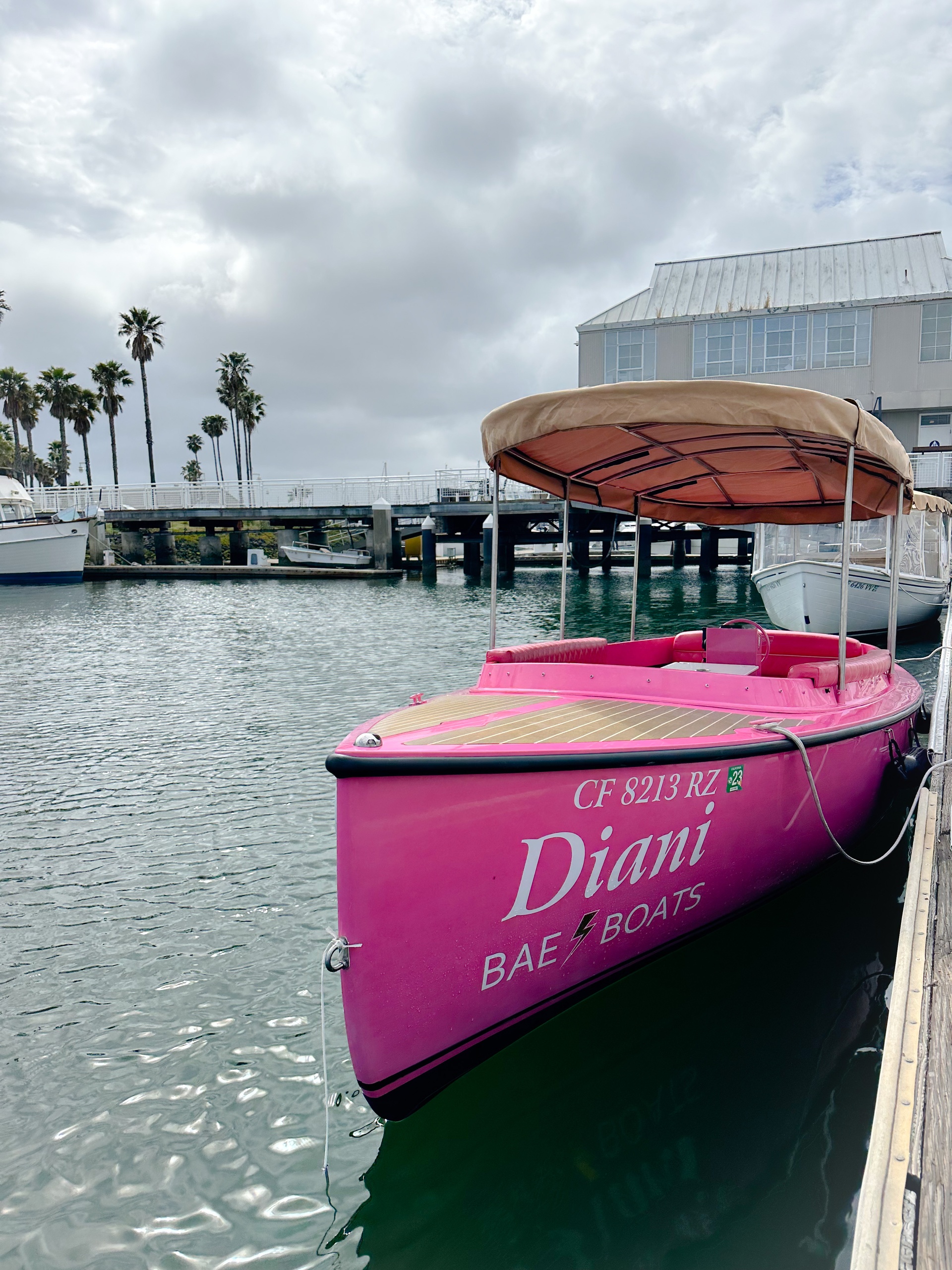 Alameda Pink Fantail Electric Boat Rental (Up to 8 Passengers) image 12