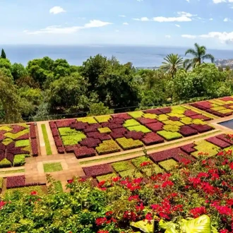 tourhub | Travel Department | Highlights of Madeira - Solo Traveller 