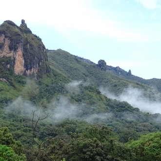 tourhub | YellowWood Adventures | Trekking and wolf-spotting in the Bale Mountains of Ethiopia 