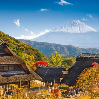 tourhub | Europamundo | Contrasts of Japan 