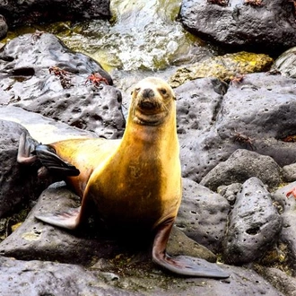 tourhub | Bamba Travel | Galapagos Island Hopping Adventure 5D/4N 