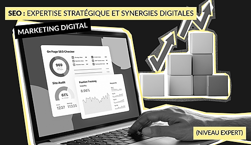 Représentation de la formation : SEO : Expertise stratégique et synergies digitales