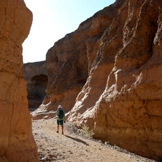 tourhub | Chameleon Safaris Namibia | 4 Day Swakopmund & Sossusvlei Accommodated Adventure 