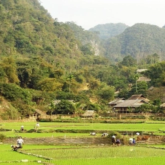 tourhub | LVP Travel Vietnam | Hanoi - Mai chau Adventure 2 Days 1 Night sleep at bungalow -packaged tour 