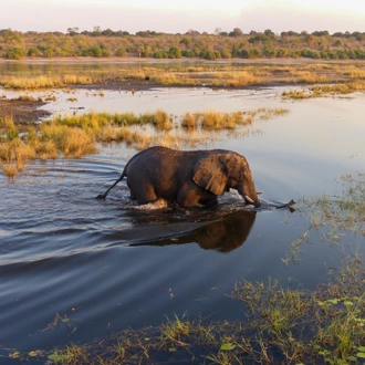 tourhub | Exodus Adventure Travels | Botswana & Zimbabwe Lodge Safari 