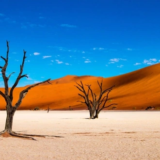 tourhub | Salty Travel | 7-Day Namibia Highlights Fly-in Safari 