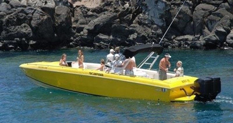 Whale Watching,Maui Hawaii Snorkeling, Sailing,Private Charters,Whale