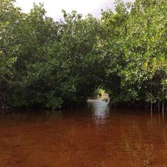 tourhub | Bamba Travel | Yucatan Panorama: Cultural Wonders & Beachfront Bliss 10D/9N 