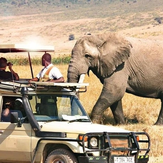 tourhub | Gracepatt Ecotours Kenya | Private 3 Days Samburu National Park Safari All Inclusive 