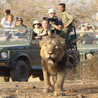 tourhub | Agora Voyages | Rajkot to Gir National Park 