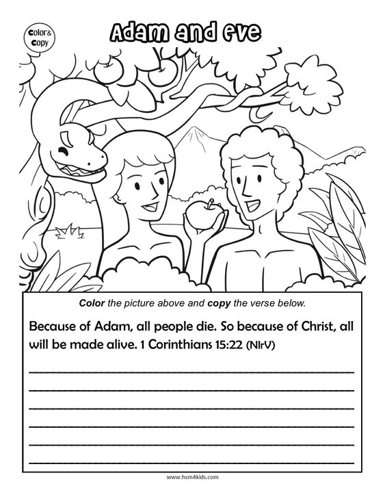 12 Adam and Eve Activities - Teaching Expertise