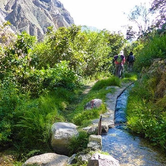 tourhub | Bamba Travel | Colca Canyon Trekking 2D/1N & Transfer to Puno 