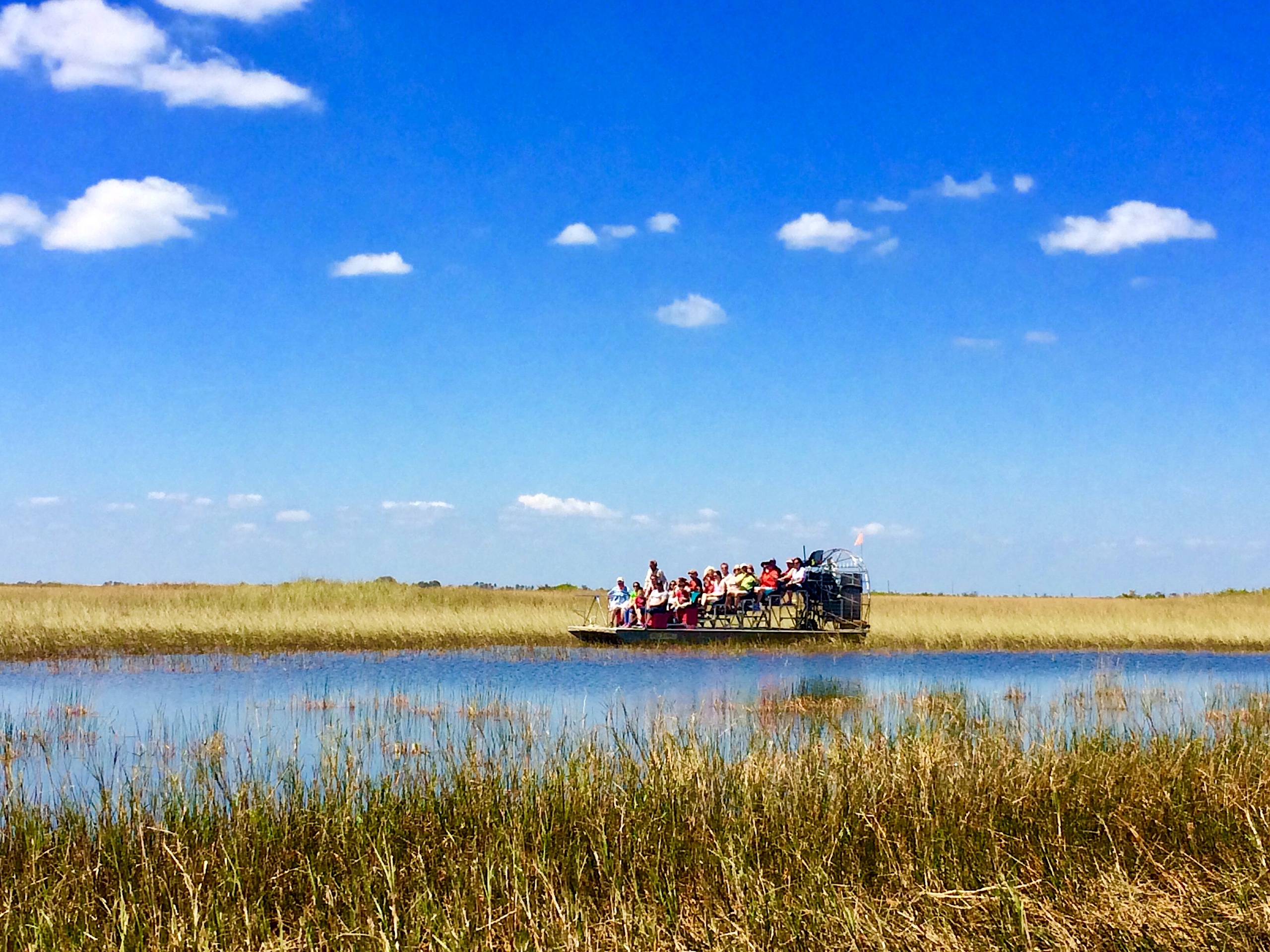 from South Beach: Everglades 45 min Airboat Tour incl. transportation