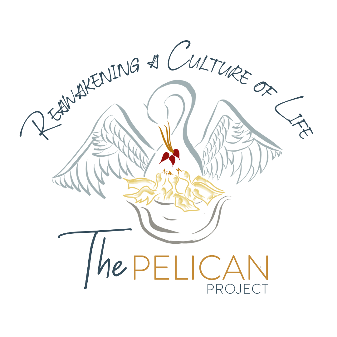Pelican Project logo