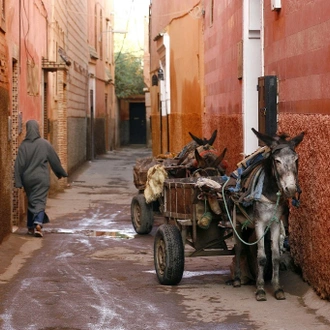 tourhub | Destination Services Morocco | Oasis & Desert, 2 days, Private tour 