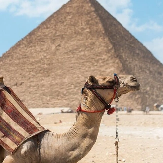 tourhub | Sun Pyramids Tours | Package 7 Days 6 Nights to Pyramids & The Nile  