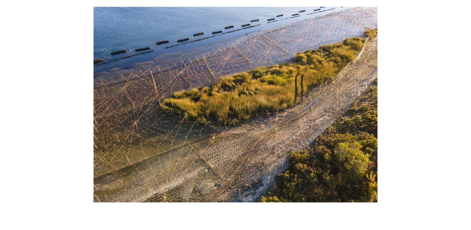 Living Shoreline: The breakwater structures attenuate wave action, allowing sediment to accrete in the newly constructed shoreline.