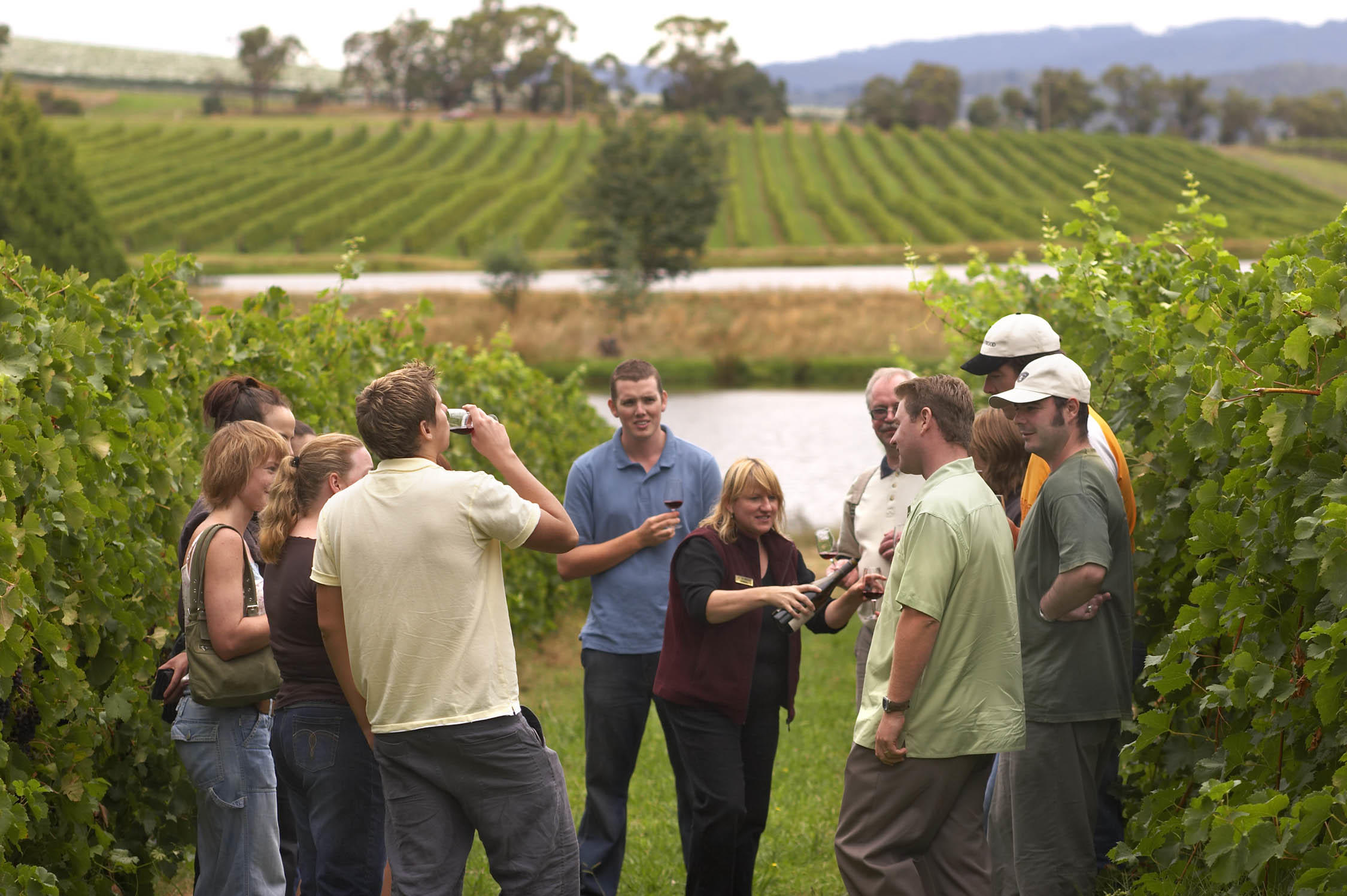 Rioja Wine Tour: 2 Wineries from Vitoria in Semi-Private with Pick-Up - Accommodations in Vitoria-Gasteiz