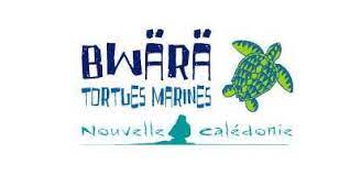 Bwara Tortues Marines