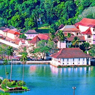 tourhub | Ceylon Travel Dream | Hills & Safari Ceylon 
