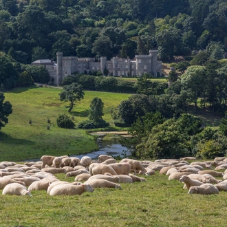 tourhub | Brightwater Holidays | England: Great Gardens of Cornwall in the company of Mike Nelhams 1110 