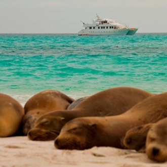 tourhub | Latin Trails | Discovering Quito and the Galapagos Islands Aboard the Seaman Journey 