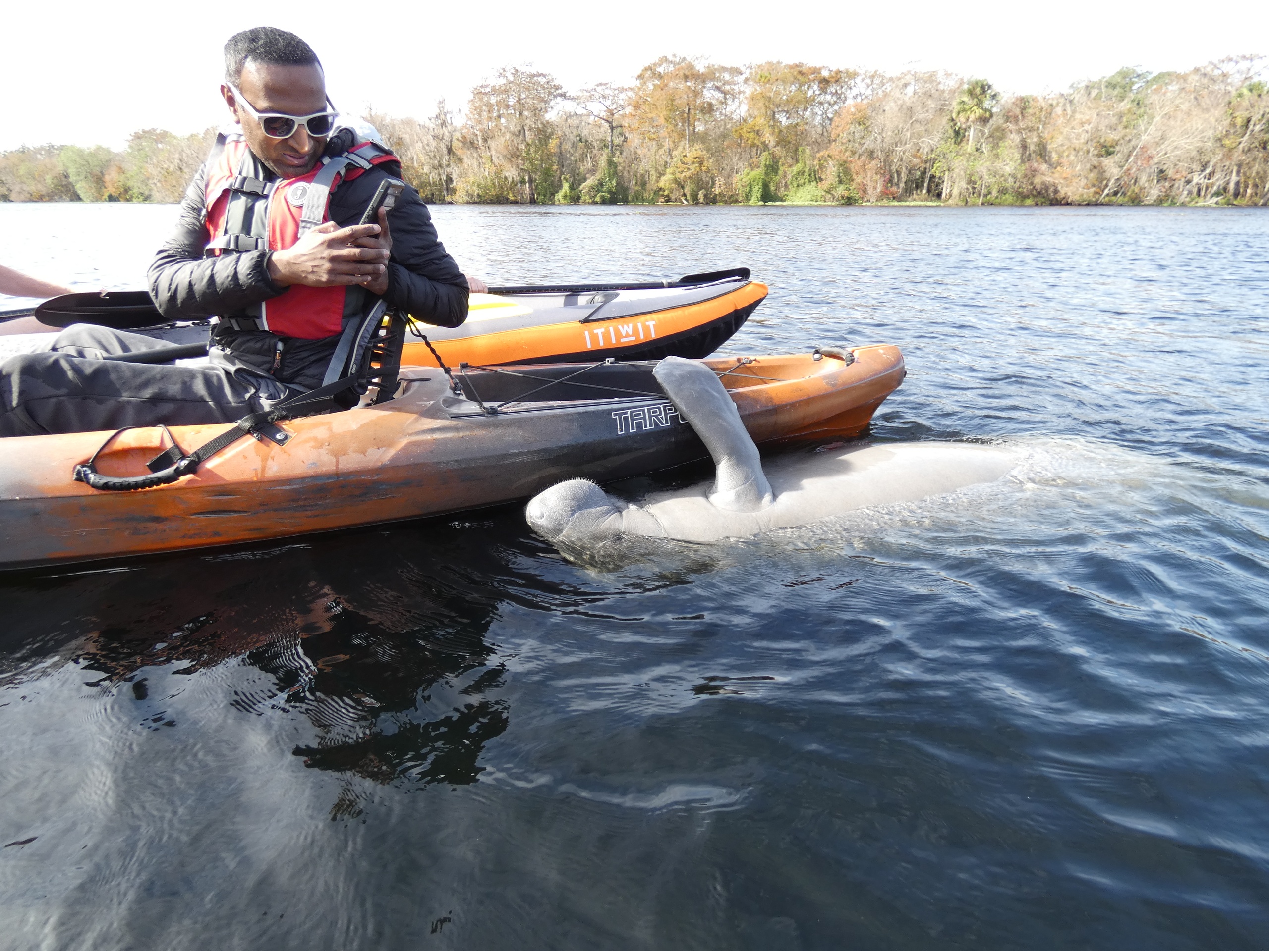 Manatee Discovery Tour