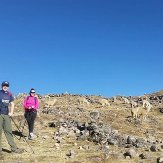 tourhub | Bamba Travel | Lares Trek Experience 8D/7N (Lima to Cuzco) 