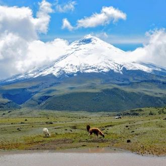 tourhub | Nas Travels | Ecuador: experience the country closest to the Moon the Nas Daily way! 