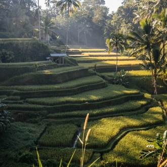 tourhub | Culture Trip | Blissful Bali 