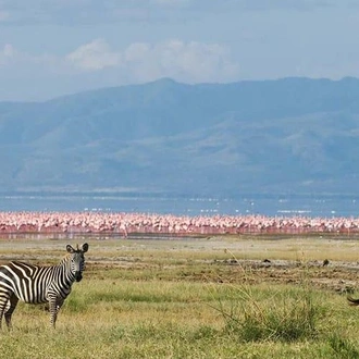 tourhub | Bamba Travel | Kenya & Tanzania 4WD Safari Adventure 10D/9N 