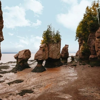 tourhub | Omega Tours | Wonders of the Bay of Fundy 