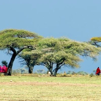 tourhub | On The Go Tours | Highlights of Kenya - 11 days 