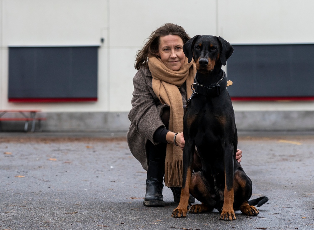 Årets bragdhund 2020 Dobsforsport Devil tillsammans med sin matte Johanna Palso. Foto: Måns Engelbrektsson