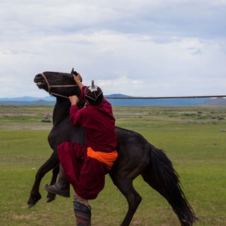 tourhub | Tour Mongolia | Essence of Mongolia - 3 Days 