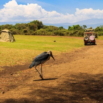 tourhub | Razan Safaris | The best 3 Days Small group Tanzania sharing (Budget) safari 