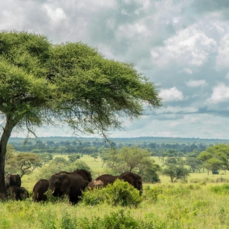 tourhub | Beach and Safari Holidays | Tanzanian Flamingo Safari: Tarangire to Lake Natron 