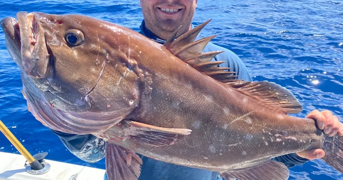 Offshore Fishing Half Day