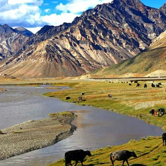 tourhub | Panda Experiences | Golden Triangle Tour with Leh 