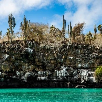 tourhub | G Adventures | Galápagos Adventure: Snorkelling & Sea Lions 