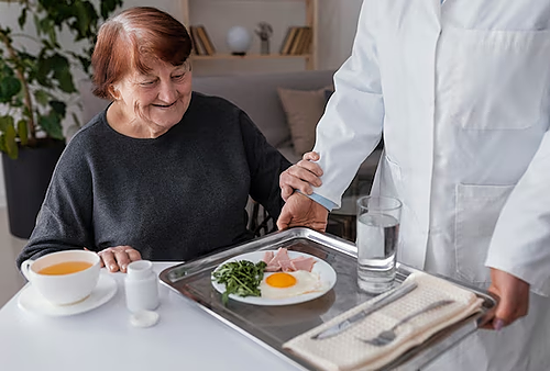 Représentation de la formation : LA DÉNUTRITION DU SUJET ÂGÉ