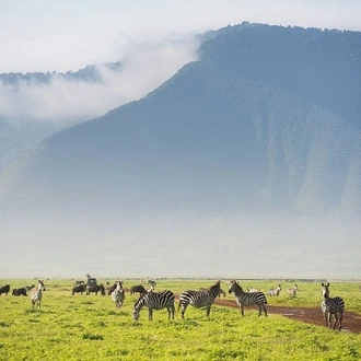 tourhub | Alaitol Safari | 3 Day Serengeti & Ngorongoro Camping Safari 